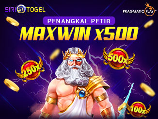 PENANGKAL PETIR MAXWIN x500