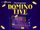 PERMAINAN DOMINO LIVE