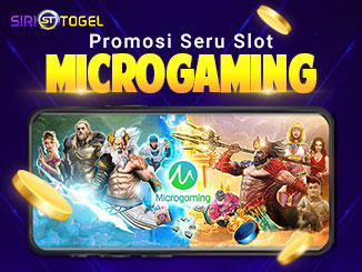 Promosi Seru Slot MICROGAMING